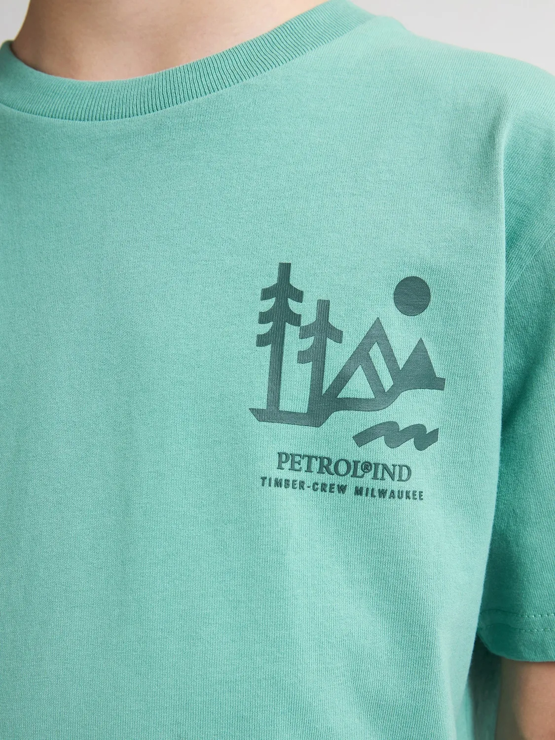 Petrol Industries Tetons t-shirt grafisk bomuld