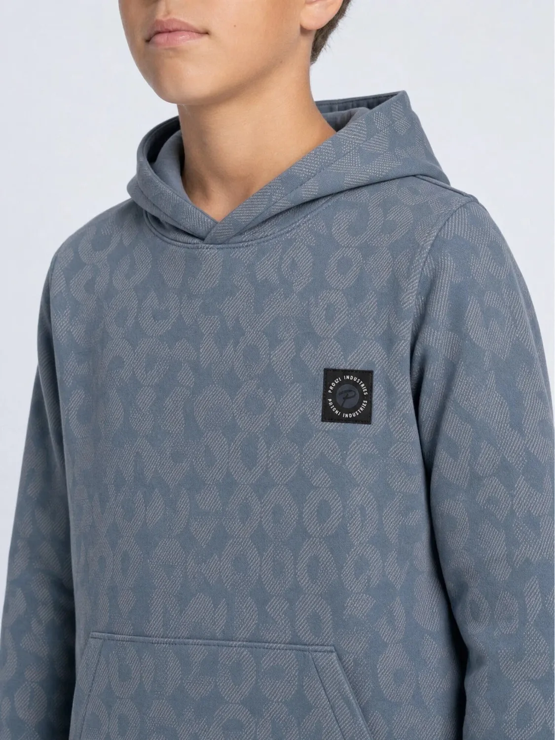 Petrol Industries Forgeplace hoodie Beluga med print drenge