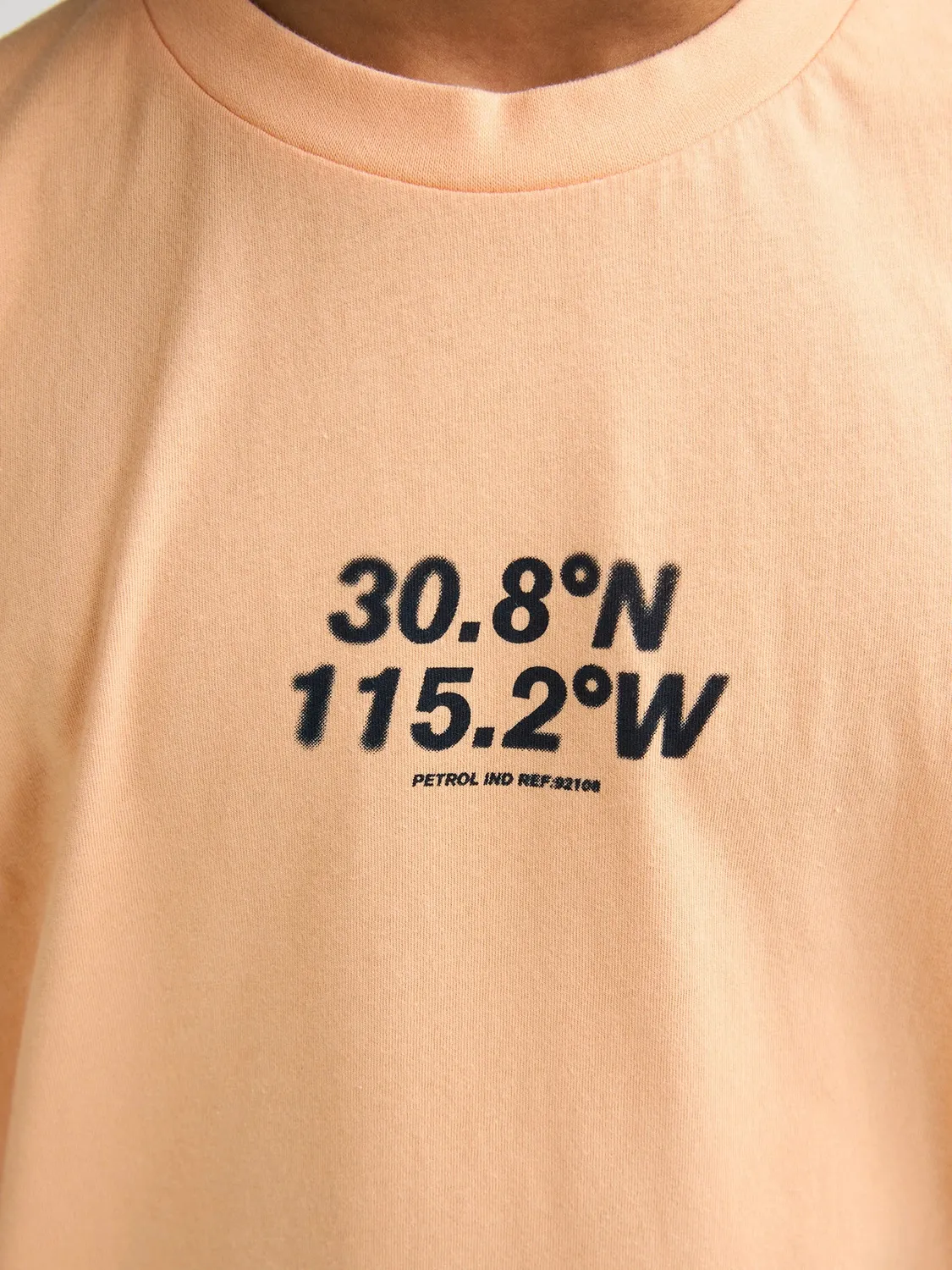 Petrol Industries Roca T-shirt jersey tryk