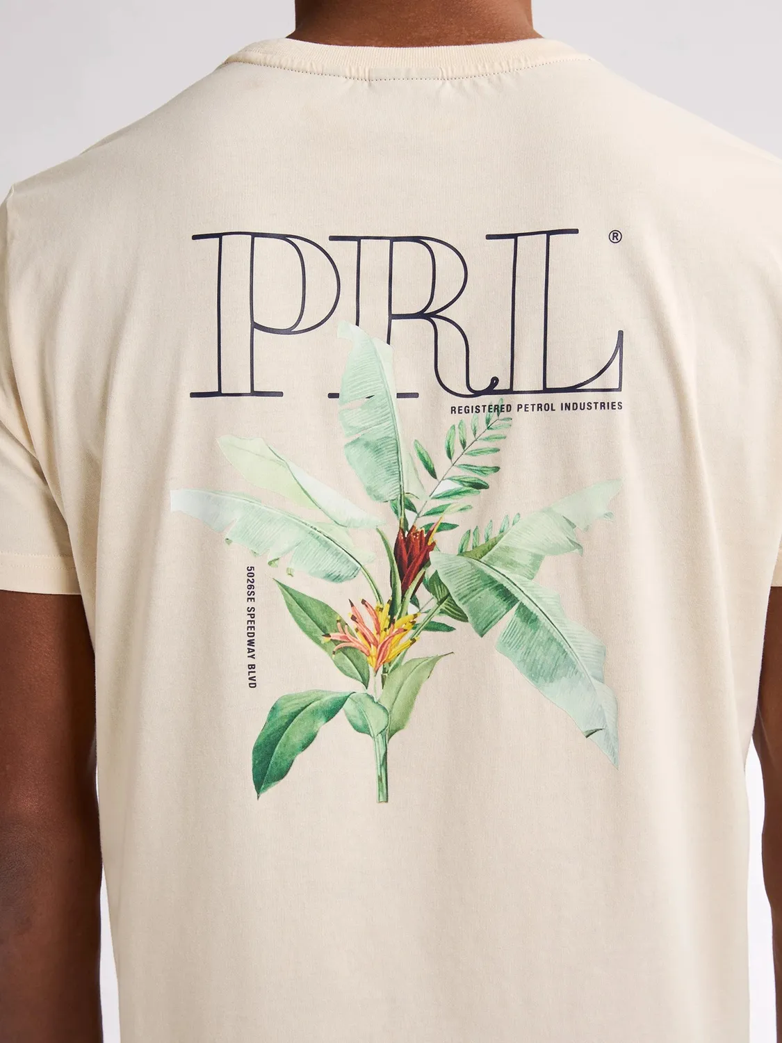Petrol Industries Nauticalwalk t-shirt seashell bomuld