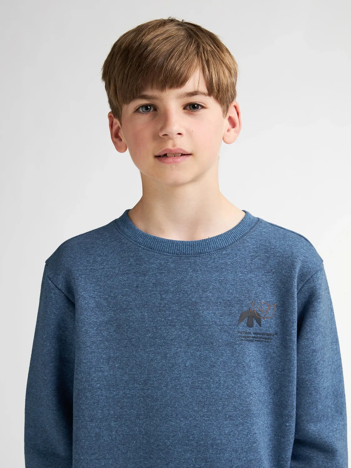 Petrol Industries Cumberland drenge sweater rund hals regular fit