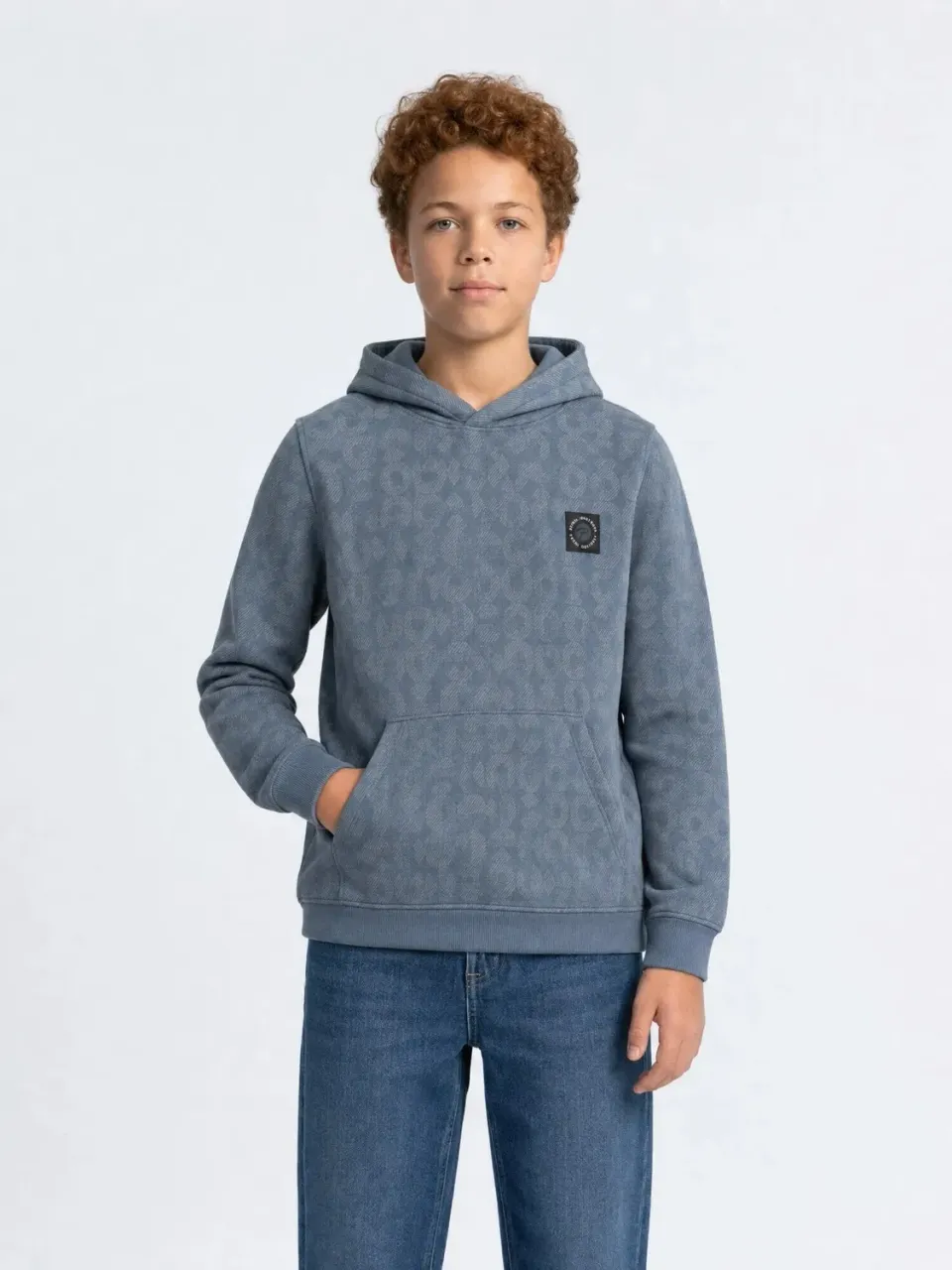 Petrol Industries Forgeplace hoodie Beluga med print drenge