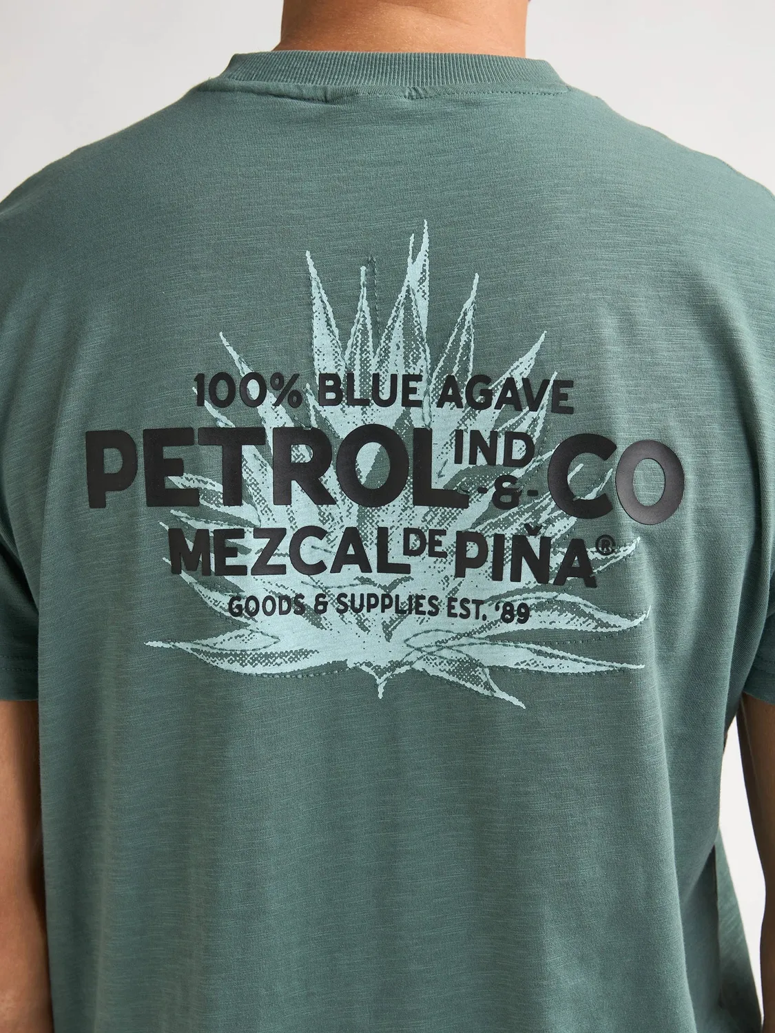 Petrol Industries FuegoSur T-shirt herre rygprint grøn