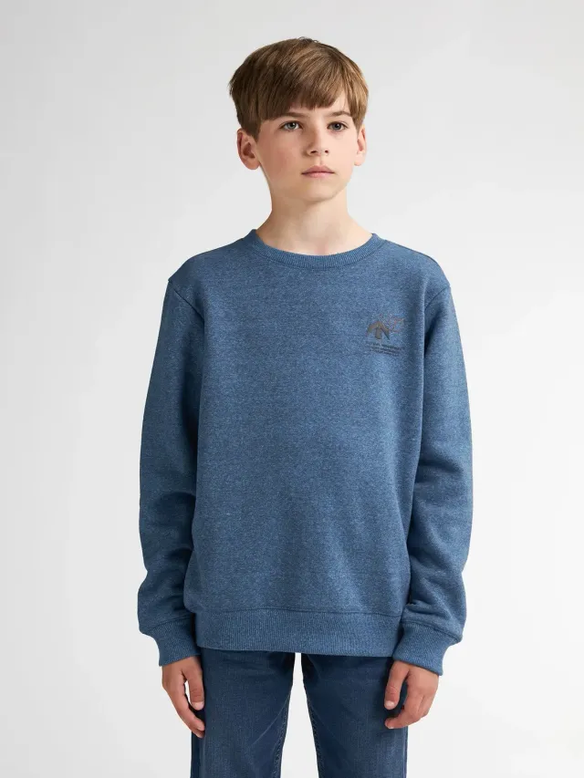 Petrol Industries Cumberland drenge sweater rund hals regular fit
