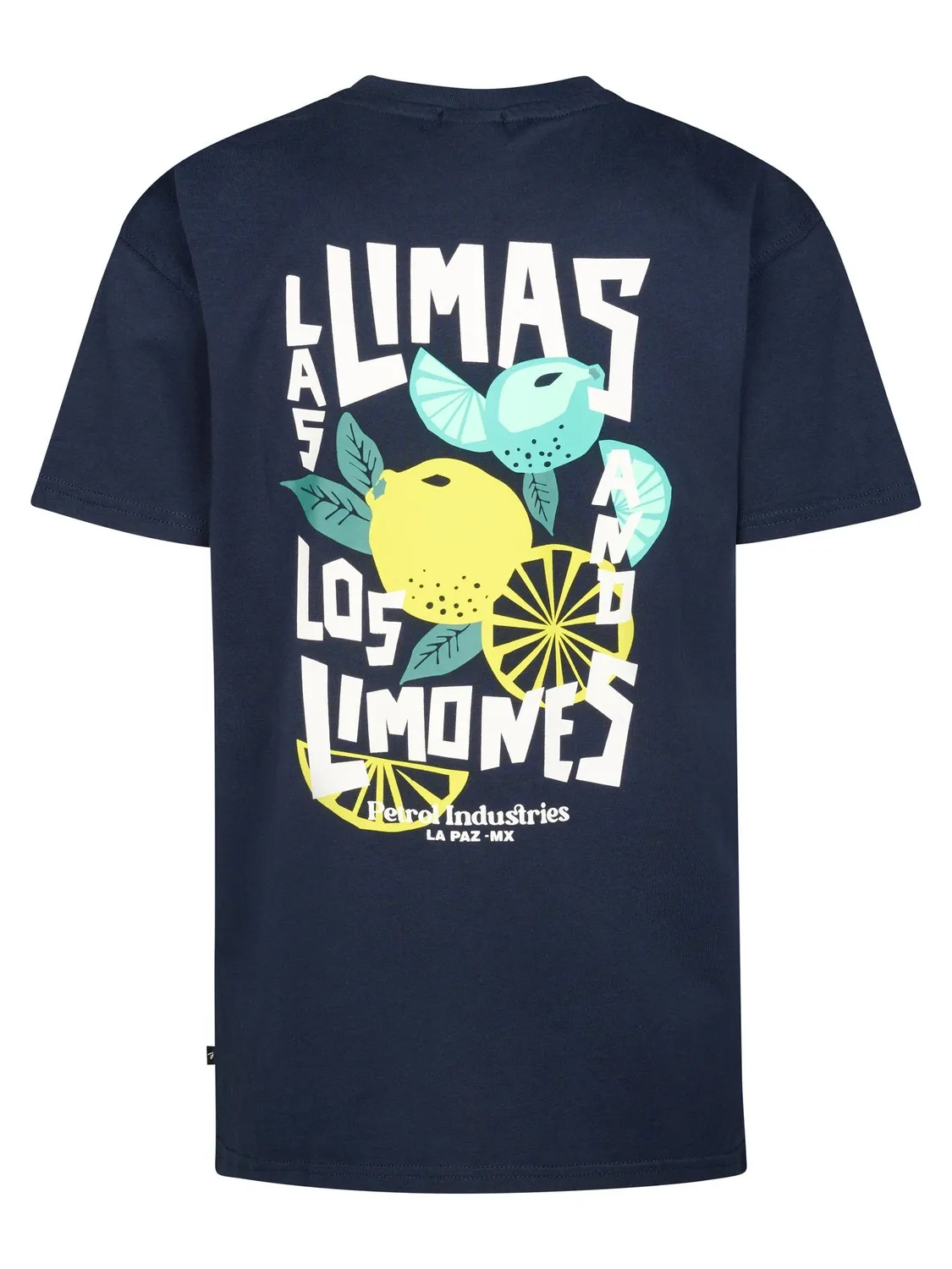 Petrol Industries Costa drenge T-shirt rygprint