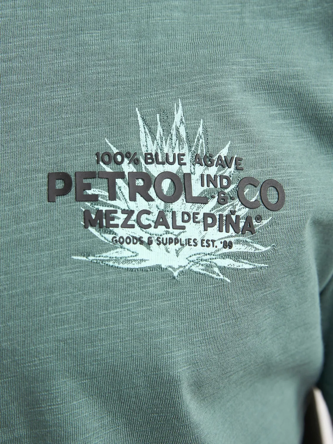 Petrol Industries FuegoSur T-shirt herre rygprint grøn